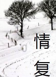 破碎的动物图形2